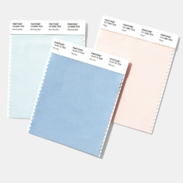 swatch cards