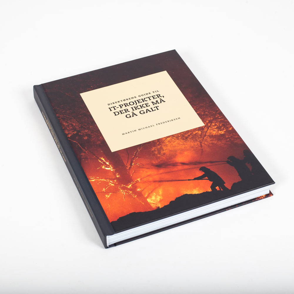 Direktørens guide til IT-projekter der ikke må gå galt