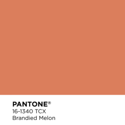 Pantone 16-1340 - Brandied Melon