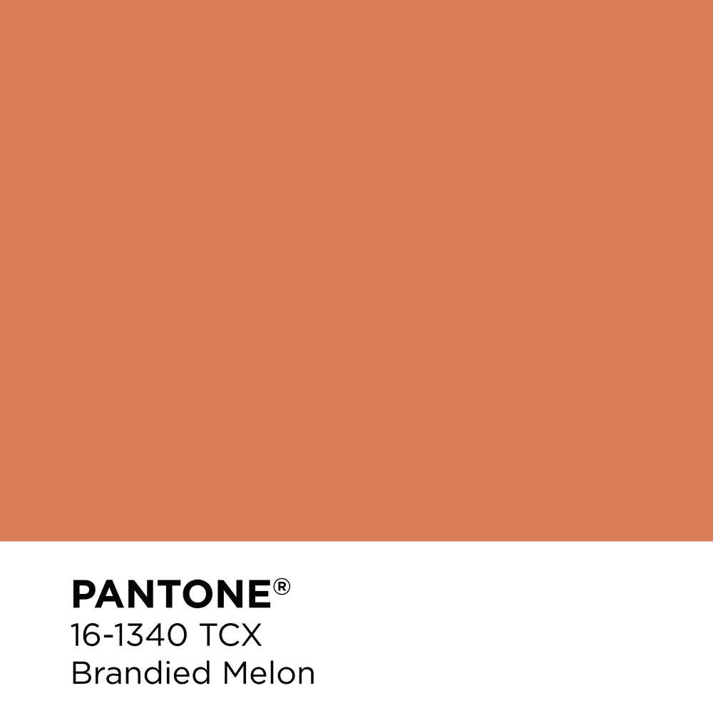 Pantone 16-1340 - Brandied Melon
