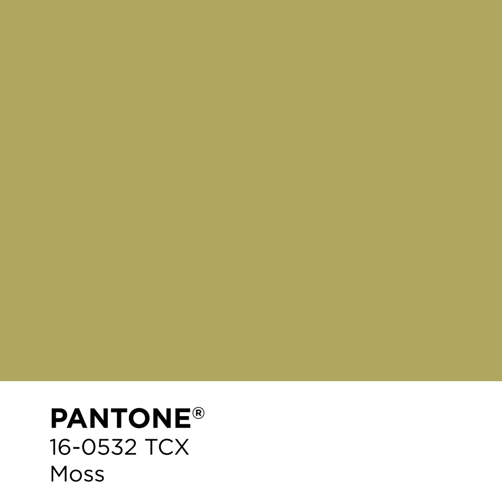 Pantone 16-0532 - Moss