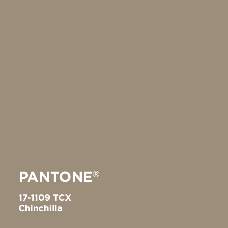 Chinchilla 17-1109