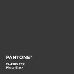 Pirate Black 19-4305