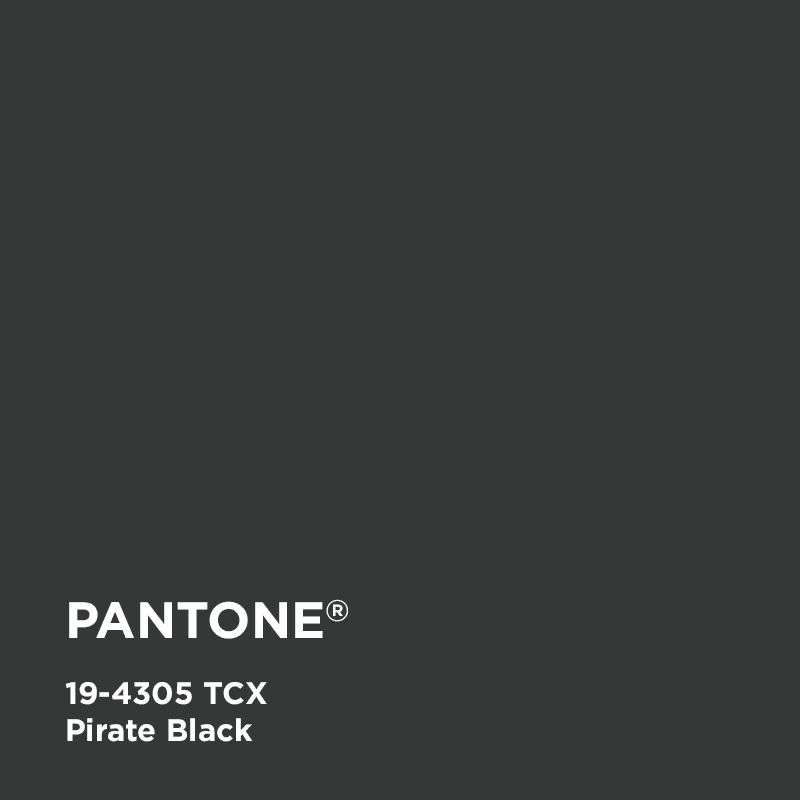 Pirate Black 19-4305