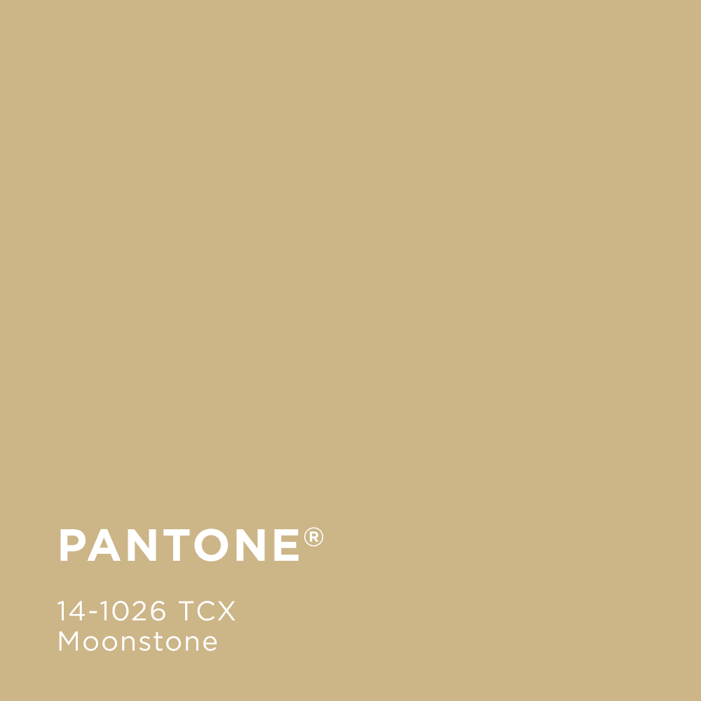 Pantone 14-1026tcx - one of the key colours to SS 2022