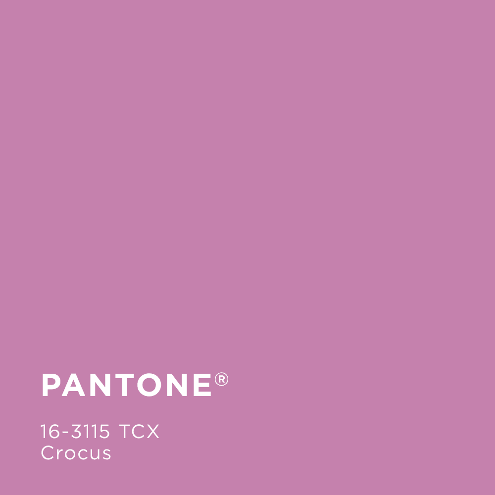 Pantone 16-3115tcx - one of the key colours to SS 2022