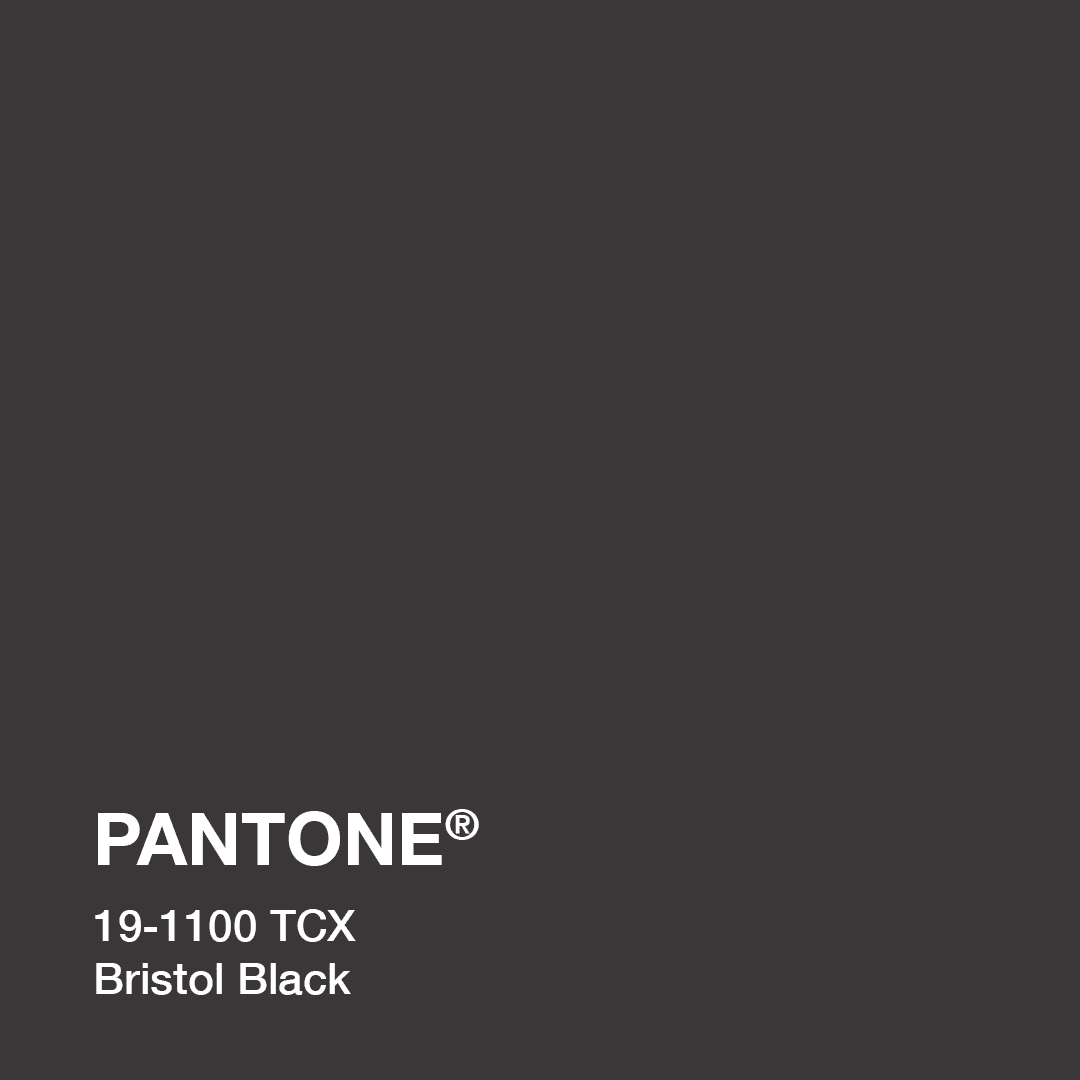 pantone_19-1100