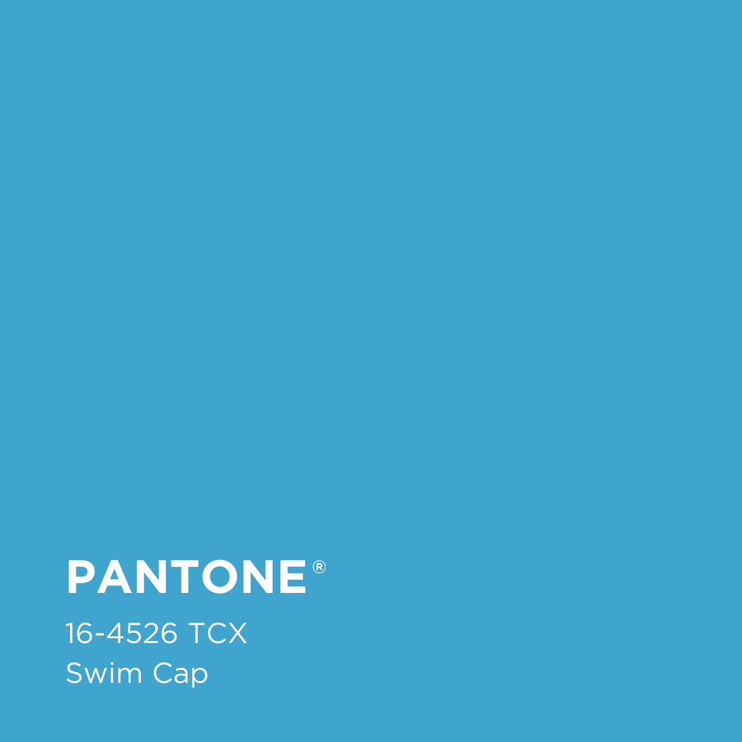 Swim Cap